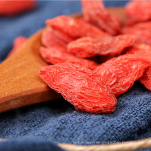 Baya de goji rojo oscuro / bayas de goji ovaladas de alto estándar